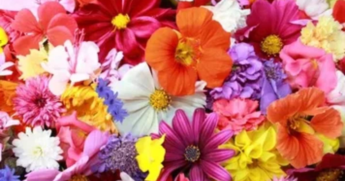 15 Gorgeous Flowers That Symbolize Rebirth - The Flower Secrets