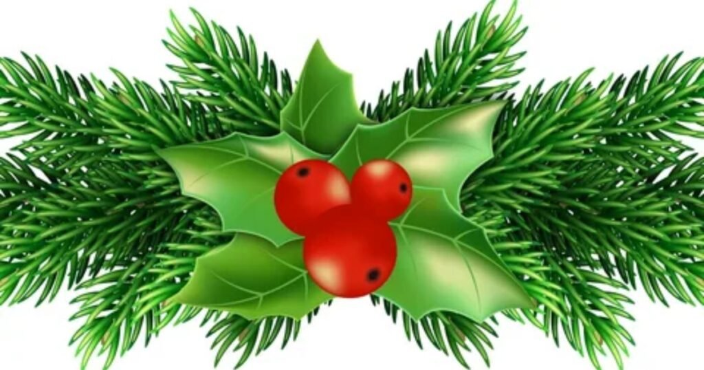 Holly: The Evergreen Symbol of Christmas