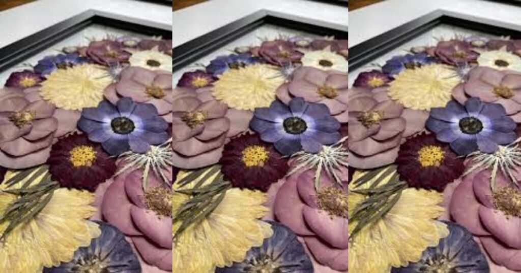 Learning How to Frame Flowers? Turn Blooms into Timeless Art