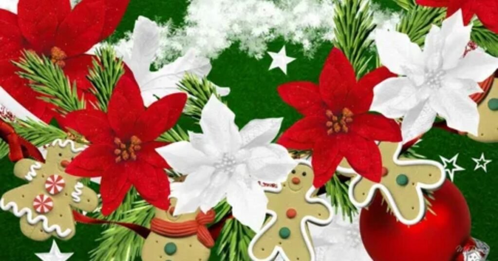 The Origins of Christmas Flowers and Their Meanings